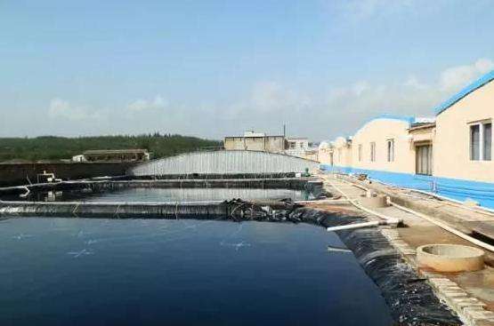 臭氧發(fā)生器在水處理中應用的10個領域