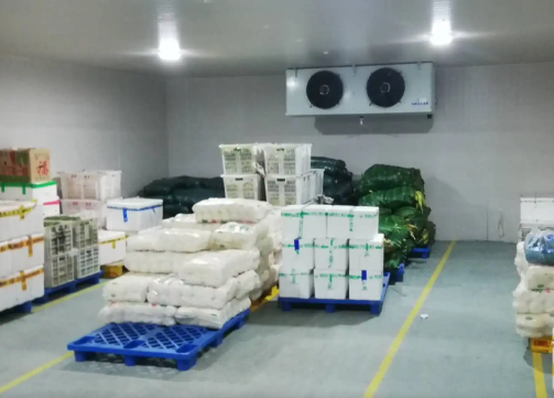 大蒜保鮮冷庫造價 大蒜保鮮冷庫造價