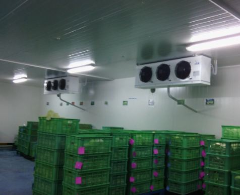 冷凍庫和冷庫兩者到底有什么不一樣 冷凍庫和冷庫兩者到底有什么不一樣