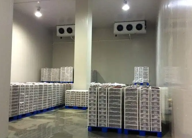 紅酒恒溫冷庫 紅酒恒溫冷庫