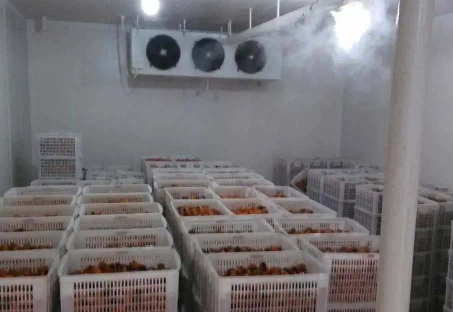 保鮮庫(kù) 保鮮庫(kù)