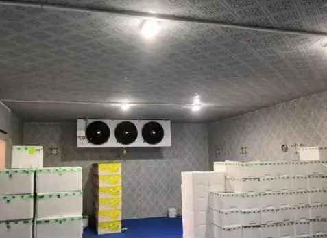 海鮮冷庫 海鮮冷庫