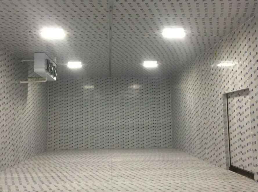 廣州冷庫建造公司哪家好一點 廣州冷庫建造公司哪家好一點