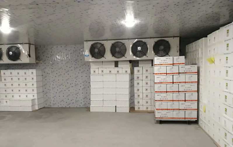 南京3500平米海鮮冷庫改如何設(shè)計 南京3500平米海鮮冷庫改如何設(shè)計