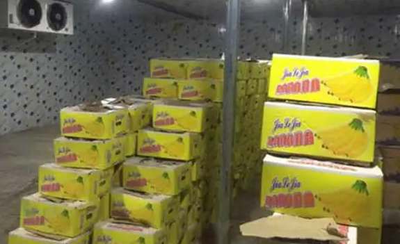 建一個香蕉冷庫需要花費多少成本 建一個香蕉冷庫需要花費多少成本