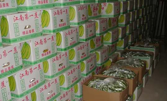 建一個香蕉冷庫需要花費多少成本 建一個香蕉冷庫需要花費多少成本