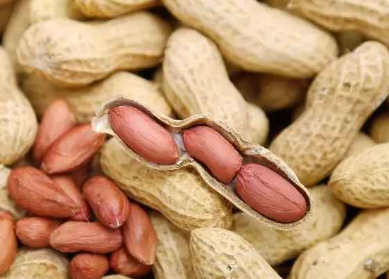 五百立方花生保鮮冷庫造價多少錢 五百立方花生保鮮冷庫造價多少錢