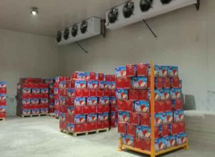 建造大型冷庫的設(shè)計與安裝方案 建造大型冷庫的設(shè)計與安裝方案