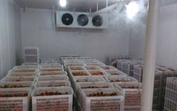 新建一個(gè)冷庫大概需要多少錢 新建一個(gè)冷庫大概需要多少錢