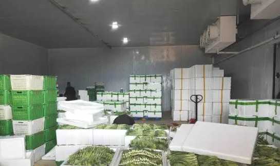 地下蔬菜保鮮庫建造要求 地下蔬菜保鮮庫建造要求