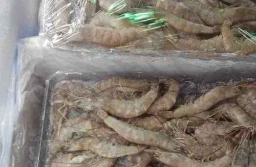 海鮮冷庫建設多少錢一平方 海鮮冷庫建設多少錢一平方