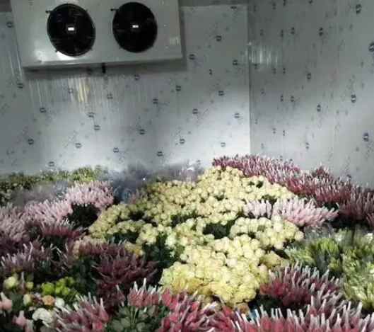 安裝一個花店冷庫大約需要多少錢 安裝一個花店冷庫大約需要多少錢