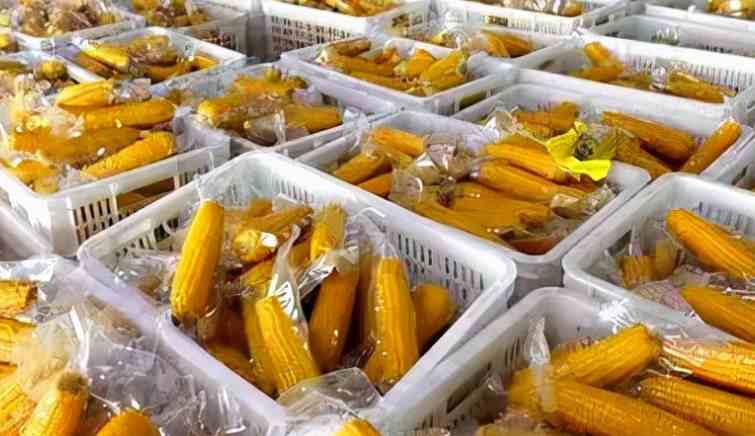 大批量水果玉米冷庫儲存技巧 大批量水果玉米冷庫儲存技巧