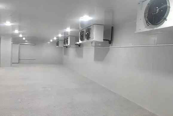 保鮮冷庫怎樣消毒比較好 保鮮冷庫怎樣消毒比較好