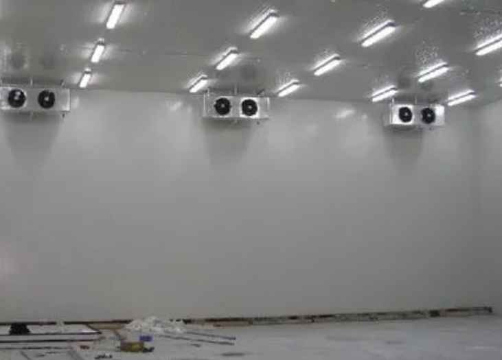 1000立方冷凍庫(kù)每平方米的造價(jià)多少錢 1000立方冷凍庫(kù)每平方米的造價(jià)多少錢