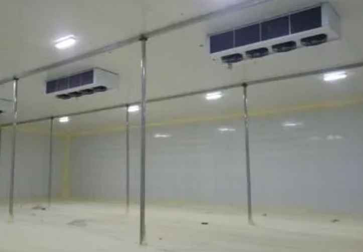 做一個(gè)10個(gè)平方的冷凍庫要多少錢 做一個(gè)10個(gè)平方的冷凍庫要多少錢