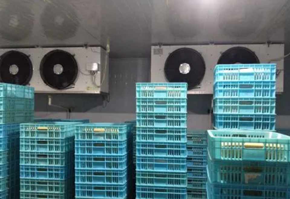 保鮮冷庫工程設計規范標準要求 保鮮冷庫工程設計規范標準要求