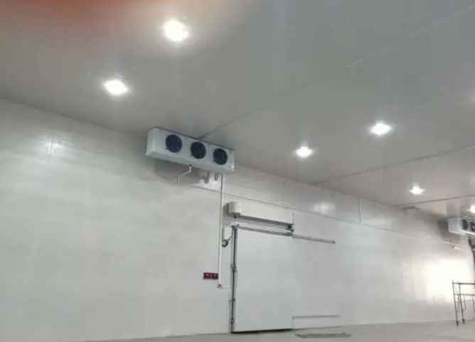 氣調(diào)冷庫(kù)要比保鮮冷庫(kù)貴嗎 氣調(diào)冷庫(kù)要比保鮮冷庫(kù)貴嗎