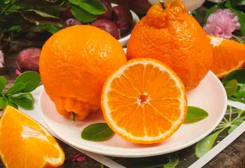 搭建500平方耙耙柑保鮮庫需要多少錢 搭建500平方耙耙柑保鮮庫需要多少錢