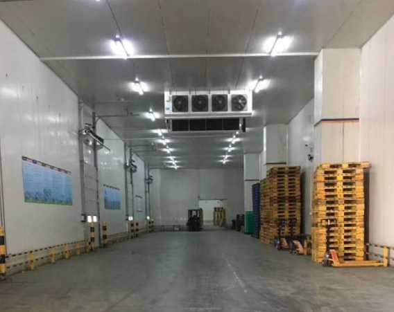 大型冷庫工程公司這么多，該如何選擇