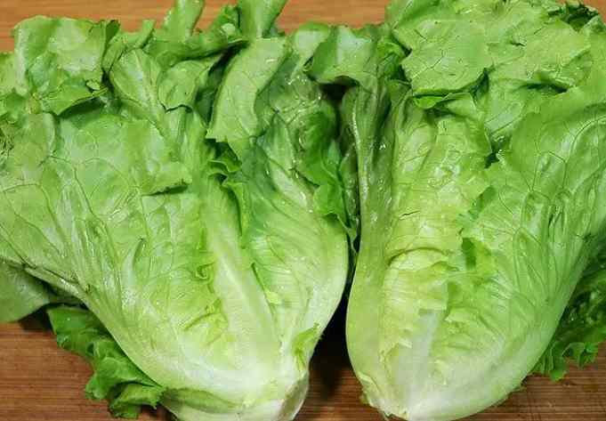 生菜在冷庫(kù)中該怎么保存時(shí)間長(zhǎng) 生菜在冷庫(kù)中該怎么保存時(shí)間長(zhǎng)