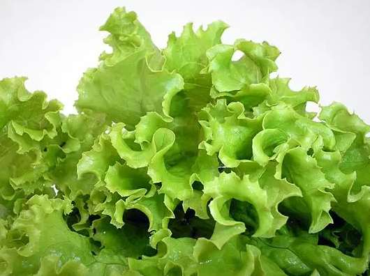 生菜在冷庫(kù)中該怎么保存時(shí)間長(zhǎng) 生菜在冷庫(kù)中該怎么保存時(shí)間長(zhǎng)