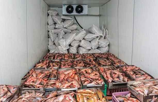 海鮮冷庫(kù)用風(fēng)冷還是排管好 海鮮冷庫(kù)用風(fēng)冷還是排管好