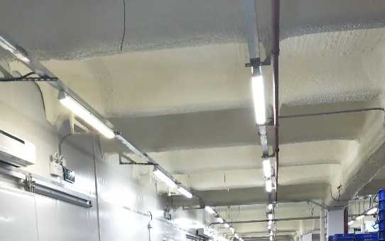 陰涼庫報價大概約多少錢 陰涼庫報價大概約多少錢