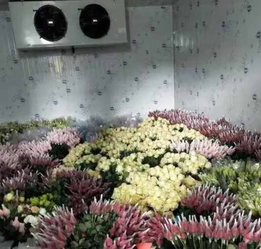 冷庫鮮花老是發(fā)霉怎么回事 冷庫鮮花老是發(fā)霉怎么回事