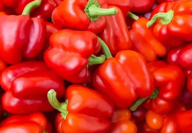 甜椒冷庫存儲(chǔ)溫度要求? 甜椒冷庫存儲(chǔ)溫度要求?