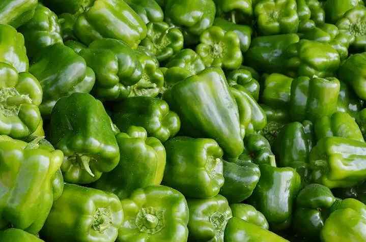 甜椒冷庫存儲(chǔ)溫度要求? 甜椒冷庫存儲(chǔ)溫度要求?