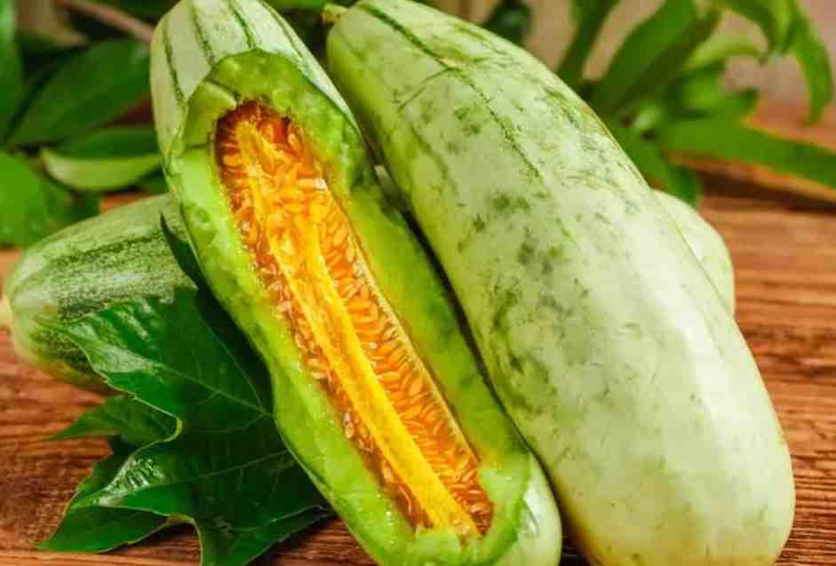 羊角蜜保鮮冷庫存儲溫度 羊角蜜保鮮冷庫存儲溫度