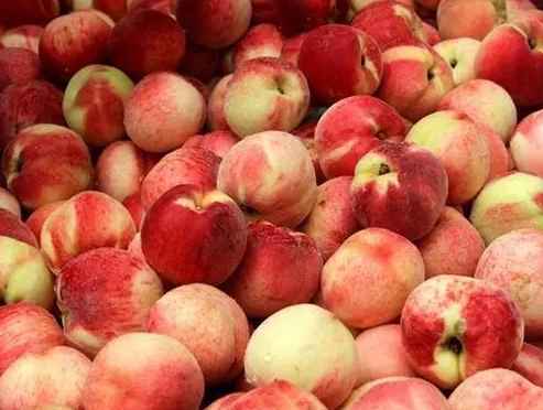 水蜜桃存貯在保鮮冷庫(kù)里能放幾天 水蜜桃存貯在保鮮冷庫(kù)里能放幾天