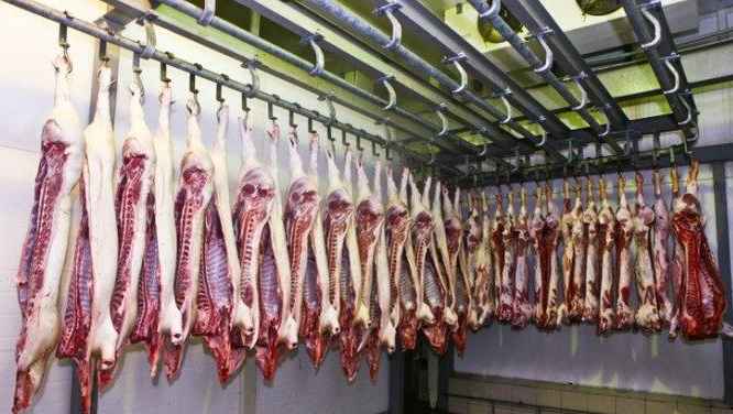 大型冷凍冷庫造價多少錢一方 大型冷凍冷庫造價多少錢一方