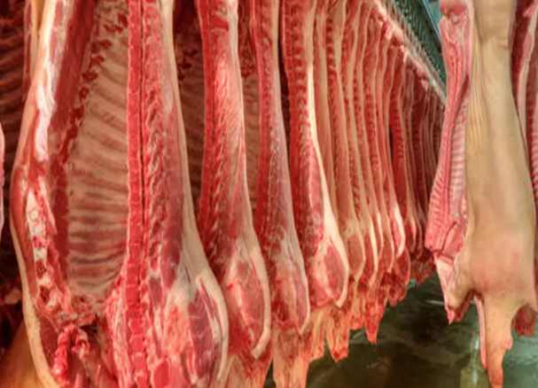 建一個羊肉保鮮冷庫要多少錢 建一個羊肉保鮮冷庫要多少錢