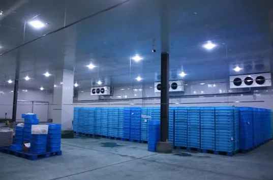 不同冷庫溫度標準是多少 不同冷庫溫度標準是多少