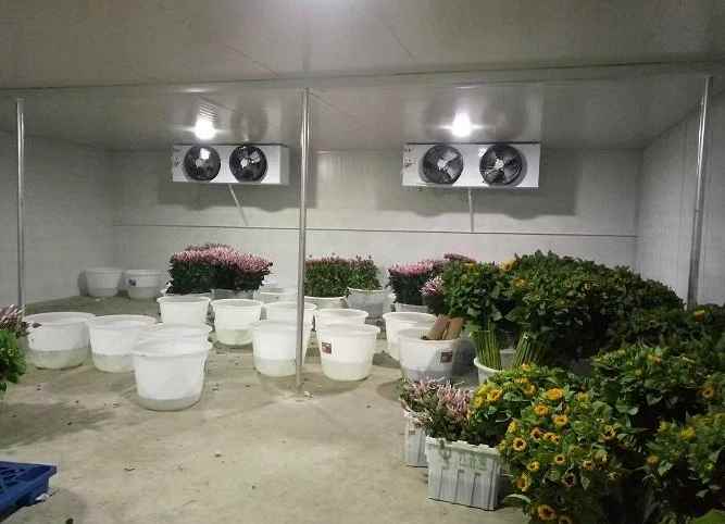 冷庫(kù)地面施工工藝的流程內(nèi)容 冷庫(kù)地面施工工藝的流程內(nèi)容