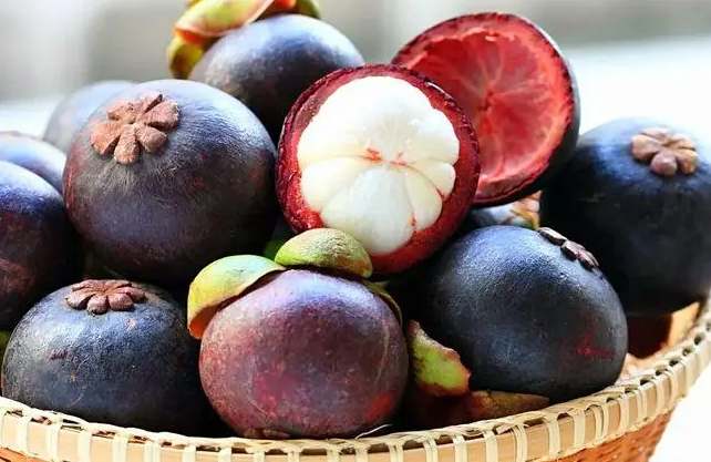 山竹存儲在保鮮冷庫能存放多久不壞 山竹存儲在保鮮冷庫能存放多久不壞