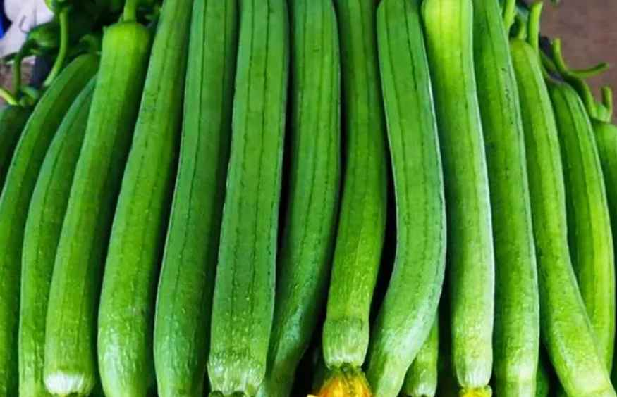 絲瓜放在中冷庫如何防止冷害發生 絲瓜放在中冷庫如何防止冷害發生