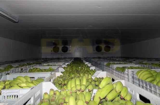 200平方冷庫造價表,預(yù)算要多少錢 200平方冷庫造價表,預(yù)算要多少錢