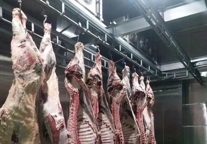 肉類冷凍庫有什么作用 肉類冷凍庫有什么作用
