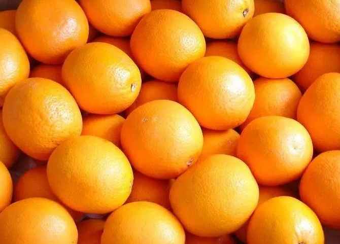 橙子氣調冷庫能保鮮多久 橙子氣調冷庫能保鮮多久