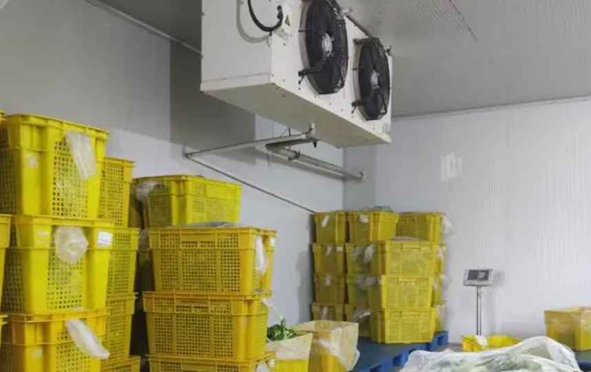 冷庫要做節(jié)能設(shè)計嗎 冷庫要做節(jié)能設(shè)計嗎