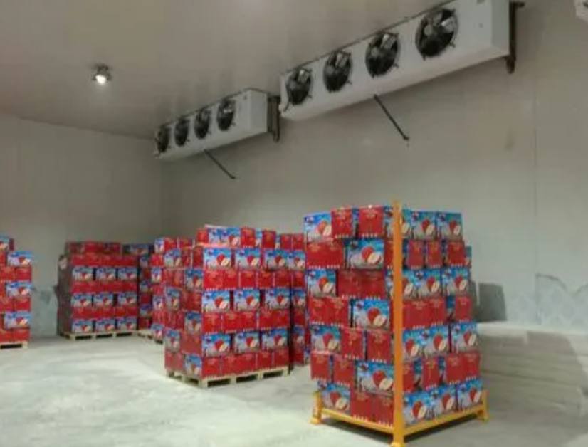 100平方冷庫能放多少噸果蔬 100平方冷庫能放多少噸果蔬