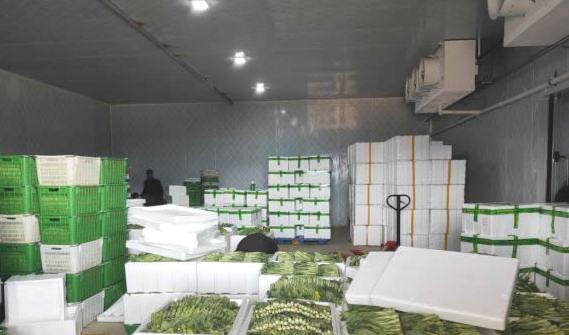 蔬菜保鮮冷庫建設方案及流程 蔬菜保鮮冷庫建設方案及流程