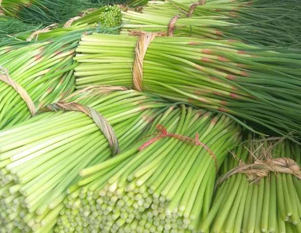 蒜苔冷庫如何正確保鮮儲存? 蒜苔冷庫如何正確保鮮儲存?