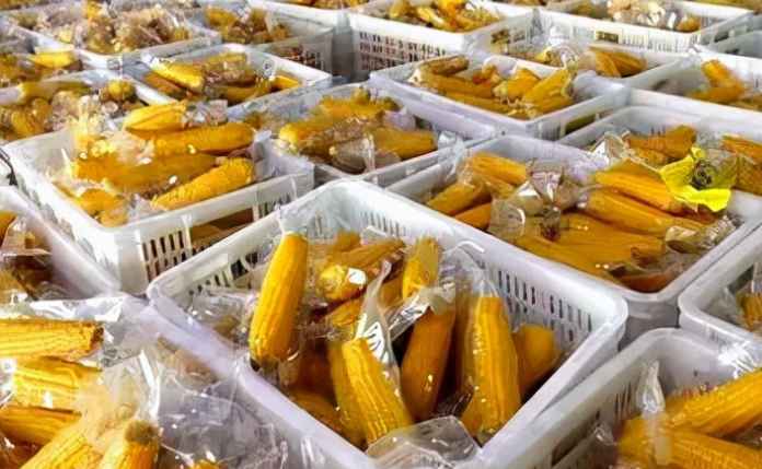 大量玉米除了冷庫(kù)保鮮儲(chǔ)存,還有其他方法嗎 大量玉米除了冷庫(kù)保鮮儲(chǔ)存,還有其他方法嗎