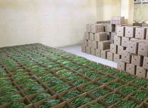 蔬菜冷庫建設多少錢一平方 蔬菜冷庫建設多少錢一平方