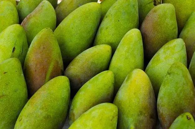 建一個(gè)200噸芒果保鮮庫(kù)多少錢 建一個(gè)200噸芒果保鮮庫(kù)多少錢