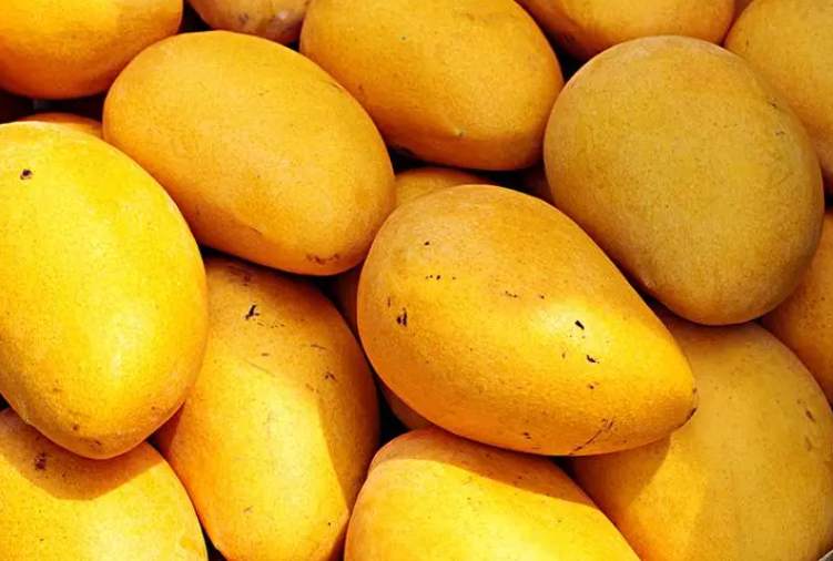 建一個(gè)200噸芒果保鮮庫(kù)多少錢 建一個(gè)200噸芒果保鮮庫(kù)多少錢